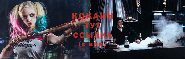 дурь Магас