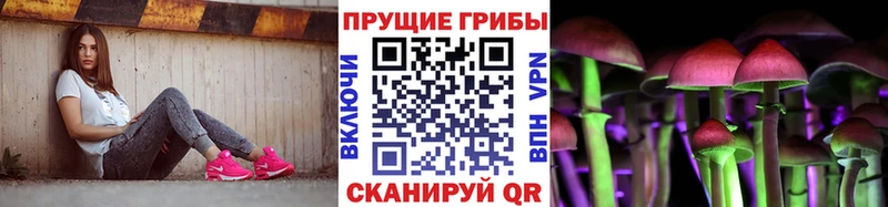 магазин  наркотиков  Сысерть  Псилоцибиновые грибы Psilocybine cubensis 